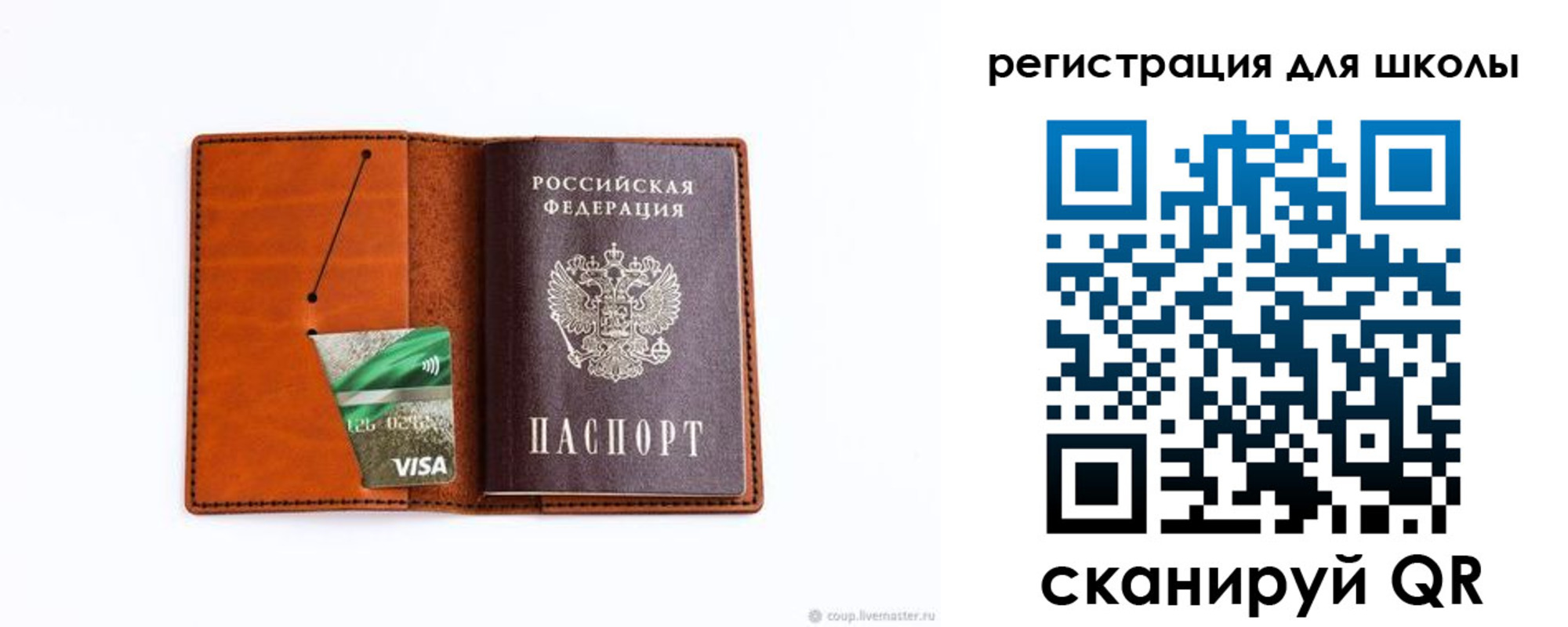 где прописаться в Светлогорске